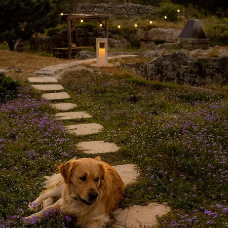 Dimore Del Cisto By Barbarhouse Santa Maria al Bagno