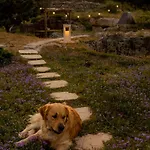 Dimore Del Cisto By Barbarhouse Santa Maria al Bagno